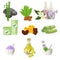 Spa beauty and body care vector icons