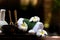 Spa beauty massage healthy wellness background. Spa Thai therapy treatment aromatherapy for body woman with flower nature candle f