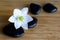Spa black stones with white flower