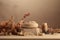 Spa composition with dried flowers and stones displat stand on light background, closeup.