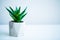 Spa concept. Aloe vera plant on table in bathroom
