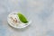 SPA concept Aromatic sea salt, sea shells and green plant leaf on  blue sky background