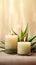 Spa concept. Candles on a blurred background. Decor from natural stems of aloe