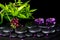 Spa concept of flower orchid, phalaenopsis, zen basalt stones wi