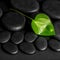 Spa concept of green leaf Calla lily on black zen stones with de