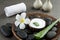 Spa concept. slice aloe vera on white cream in coconut shell wit