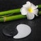 Spa concept of tropical frangipani flower, symbol Yin Yang and n