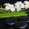 Spa concept of zen basalt stones, white flower frangipani
