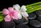 Spa concept of zen basalt stones, white and pink hibiscus flower
