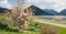 Spa garden schliersee with blooming magnolia bush, sailboat at the lake