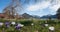 Spa garden schliersee with spring crocus flowers