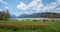 Spa gardens schliersee with tulip flowerbed