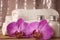 Spa kit with lotions for skin, orchid flowers and white towels