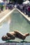 Spa long fountain of Abano Terme in Italy. Statue sleeping in water