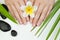 Spa manicure and female hands with flower, stones