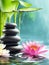 Spa massage black stones, bamboo and waterlily in water