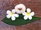 Spa massage compress balls, herbal ball with flower, Thailand