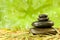 Spa Massage Hot Stones in Green Environment