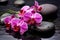 Spa orchids stones drops. Generate Ai