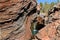 Spa pool Hamersley Gorge Karijini National Park Pilbara region in Western Australia