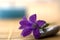 Spa purple flower