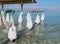 Spa resort of the Dead Sea at Ein Gedi, Israel.