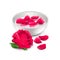 Spa rose water on white vector