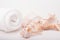 Spa salon concept with rolled white towel and seashells on white wooden background. Spa treatments. Spa background. Space for a te