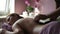 In spa salon masseur puts hot stones on naked back of woman.