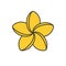Spa salon plumeria flower color icon