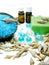 Spa sea shells salt shampoo shower gel and creme