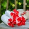 Spa setting with towels and red hibiscus flowers