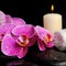 Spa setting of twig stripped violet orchid (phalaenopsis )