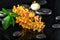 Spa still life of blooming twig orange orchid flower, green leaf