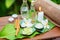 Spa still life with frangipani, towel, candles, fresh aloe