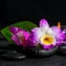 spa still life of purple orchid dendrobium, green leaf Calla lily and candles with drops on black zen stones, closeup