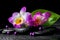 spa still life of purple orchid dendrobium, green leaf Calla lily with dew and pearl beads on black zen stones, closeup