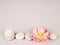 Spa still life with zen stones and flower, Harmony and balance, cairns, simple poise stones on gray background, rock zen sculpture