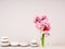 Spa still life with zen stones and flower, Harmony and balance, cairns, simple poise stones on gray background, rock zen sculpture