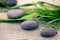 Spa stones and flowers, wellness/beauty care