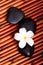 Spa stones and frangipani flower on bamboo