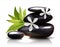 Spa stones with frangipani flower vector