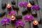 Spa stones orchids and candle