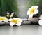 Spa stones with palm branch and flower plumeria on light background.