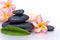 Spa stones and plumeria