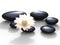 Spa Stones Represents Bloom Peaceful And Spirituality