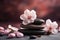 spa stones surrounded by cherry blossom petals