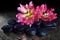 Spa stones and tulip flowers with reflection