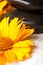 Spa stones on white towel with golden-daisy flower