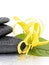 Spa stones and Ylang-Ylang flower